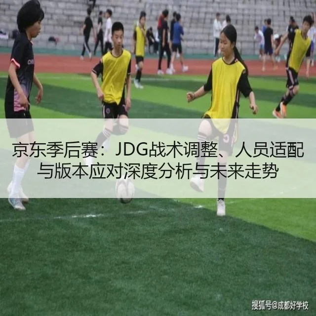 京东季后赛:JDG战术调整、人员适配与版本应对深度分析与未来走势